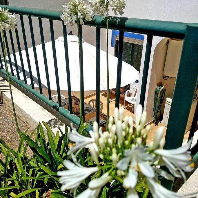 Apartamento Encantador A 100M Da Praia カルヴォエイロ エクステリア 写真
