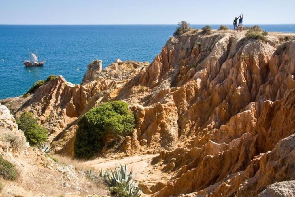 Apartamento Encantador A 100M Da Praia カルヴォエイロ エクステリア 写真