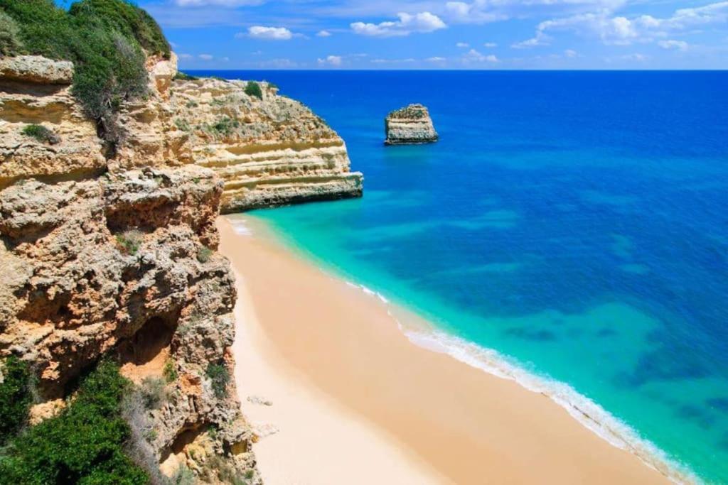 Apartamento Encantador A 100M Da Praia カルヴォエイロ エクステリア 写真