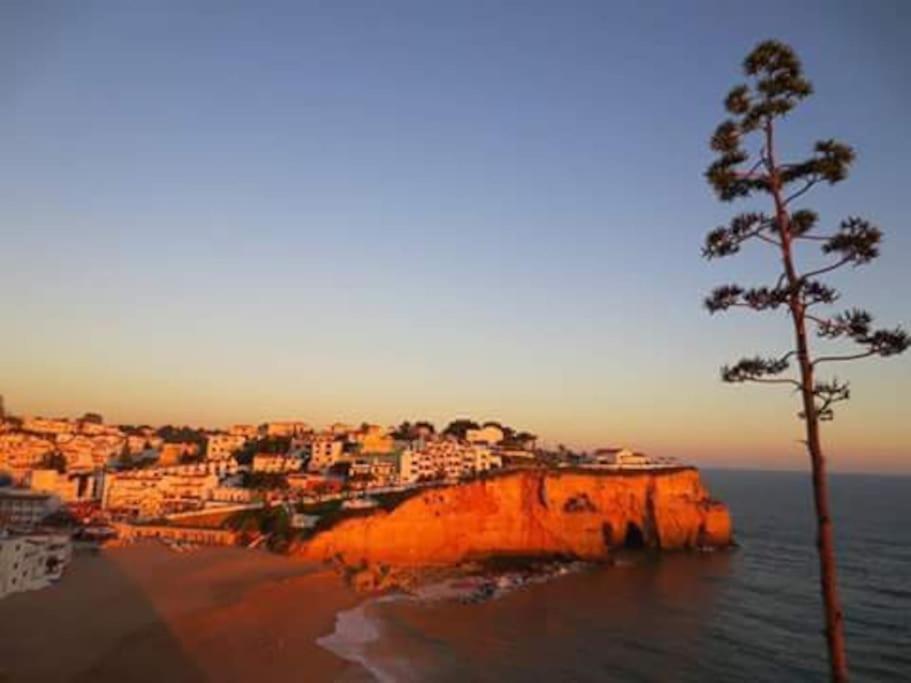 Apartamento Encantador A 100M Da Praia カルヴォエイロ エクステリア 写真