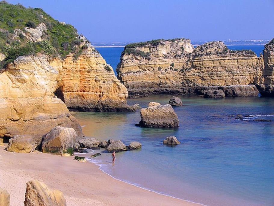 Apartamento Encantador A 100M Da Praia カルヴォエイロ エクステリア 写真