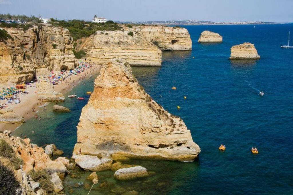 Apartamento Encantador A 100M Da Praia カルヴォエイロ エクステリア 写真