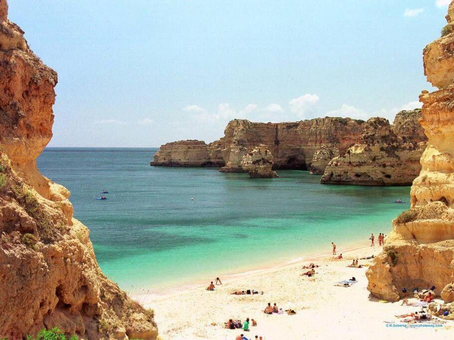 Apartamento Encantador A 100M Da Praia カルヴォエイロ エクステリア 写真